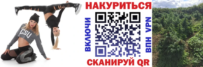 Как найти наркотики Киржач Героин  Канабис  Псилоцибиновые грибы  Кокаин  Alpha PVP 