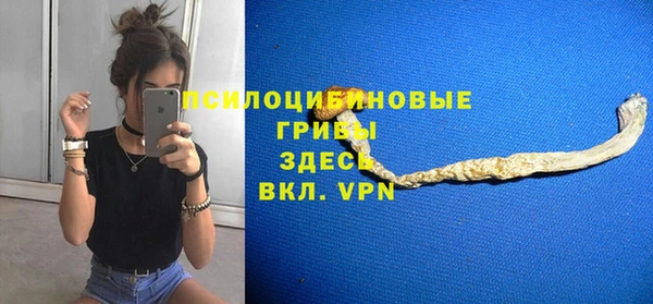 гашик Богородицк