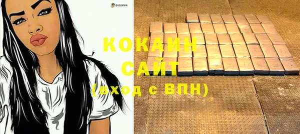 гашик Богородицк